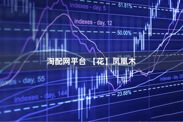 淘配网平台 【花】凤凰木